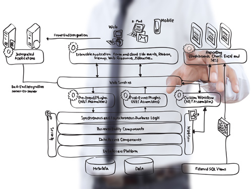 Data Backup Design and Optimization